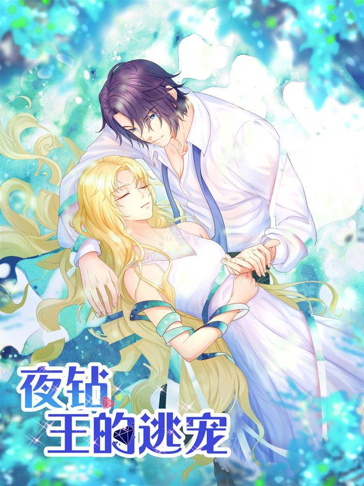 夜钻,王的逃宠漫画封面