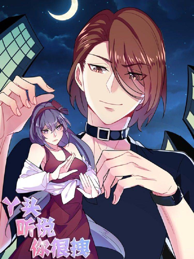 丫头听说你很拽漫画封面