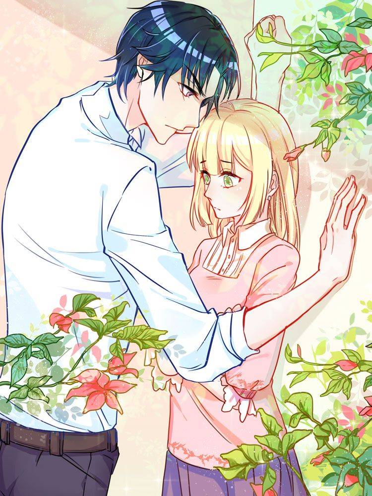 世界第一宠婚漫画封面