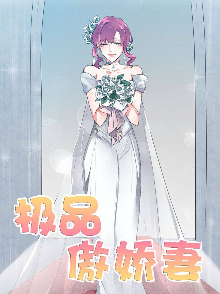 极品傲娇妻漫画封面