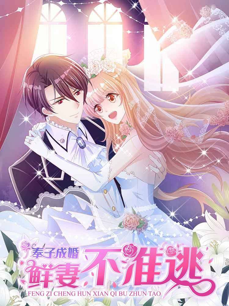 奉子成婚:鲜妻不准逃漫画封面
