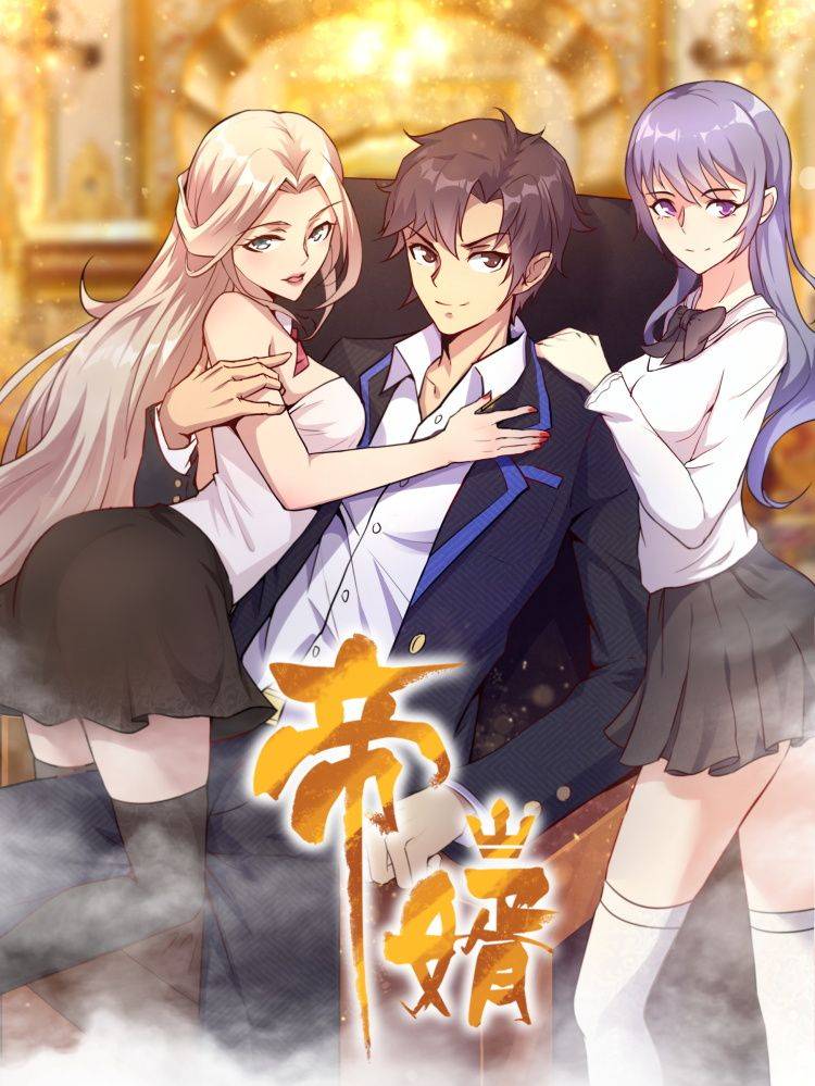 帝婿漫画封面